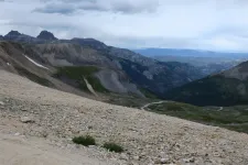 35865973503_971ab7004f_h.webp