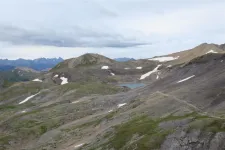 35865970393_879d7b43ea_h.webp