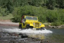 36279393030_9c89247b45_h.webp