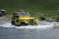 36279376480_63272aee0f_h.webp