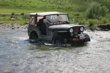 35865937083_6b5f3e694f_h.webp