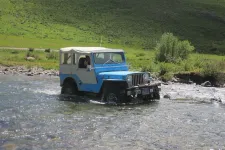 35865935853_5dee198ac0_h.webp