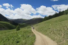 35865934213_c471de3c4d_h.webp