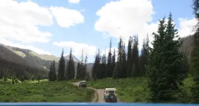 35840322034_ee8809b233_h.webp