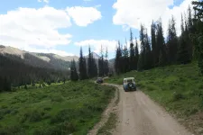 35865933203_cfe86e3d7e_h.webp