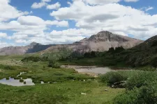 35840307964_6c22fefa6c_h.webp