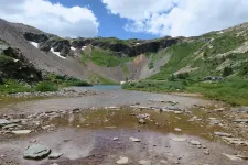 35840306314_972f43411c_h.webp