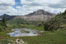 35840299734_58bb6d3564_h.webp