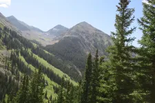 36629111626_f0d692dc87_h.webp