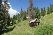 36279316240_f6cd7f01ef_h.webp