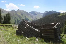 36629031016_c6592c1931_h.webp