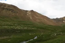 36279307360_af50c73782_h.webp