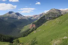 36536723791_b4cace921d_h.webp