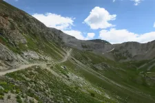 36629066086_e20394e853_h.webp