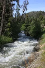 34358507373_e353a92bd6_k.webp