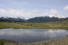 34358442443_cf30e74fc7_k.webp