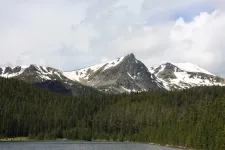 35312277790_eddf9542d0_k.webp