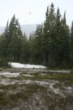 35312270050_d38b411736_k.webp