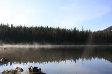 35530565062_77c3719535_k.webp
