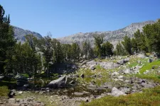 36355495863_6b8fa2287a_k.webp