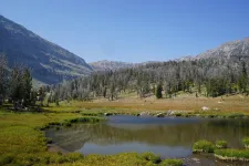 36333021164_01b1787eac_k.webp