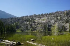 36771905490_6266a69890_k.webp