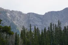 36651260952_b714f2873f_k.webp
