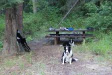 36568687406_19e8f6ecef_k.webp
