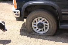36569253836_a94c1cbcaf_k.webp