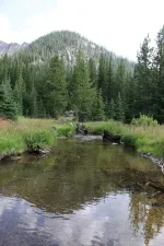 26270769519_854ca1a3ac_k.webp