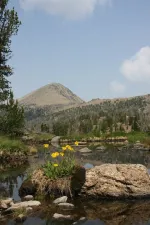 37993762746_ae2f37e52f_k.webp