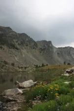 38047292101_2820e912ea_k.webp