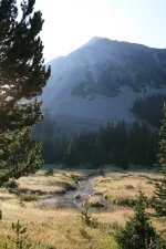 38016041142_0bf8e23298_k.webp