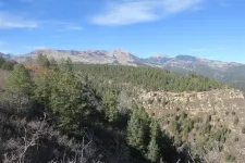 38635955182_25ed9f6154_c.webp
