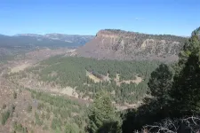 38611646836_3eb6a353fc_c.webp