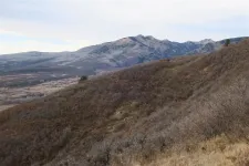 38635960052_4f0099543e_c.webp