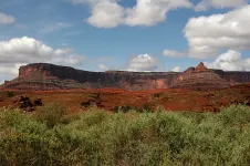 Moab-13MAY08-PosionSpiderPortal-11.webp