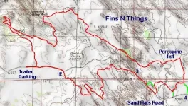 FinsNThings-Small.webp