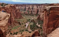 canyonlands-national.webp