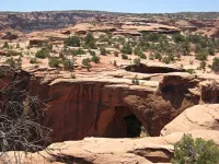 8530562_orig.webp