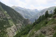 43009566124_f44fcf890d_b.webp