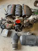 LS1-L.webp