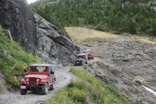 36279509180_169e426987_z.webp