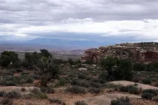 46858826285_3bfe52f345_o.webp