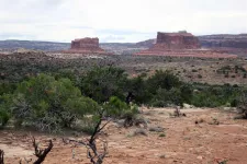 46858825535_75a7af5d2f_o.webp