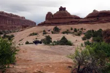 32831693887_aee21e7457_o.webp
