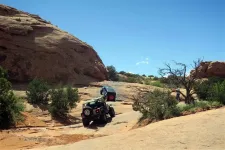 40818554093_2c632faf08_o.webp