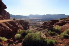 47740746092_76c7ecd872_o.webp