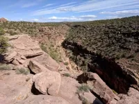 image.webp