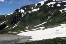48319623952_0886cc1ea0_b.webp